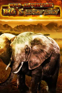 Wild Adventure – Big 5 Elephant Edition